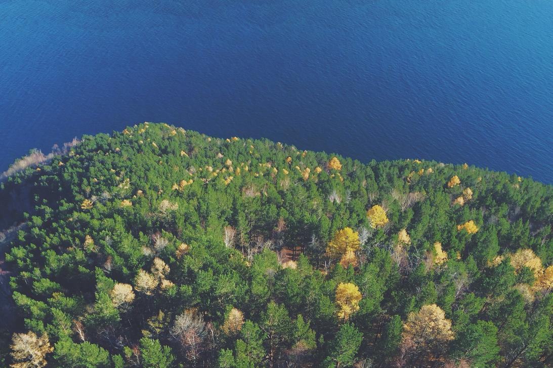 57102b17 4616 3a91 a9e0 de69ce8ecfb2